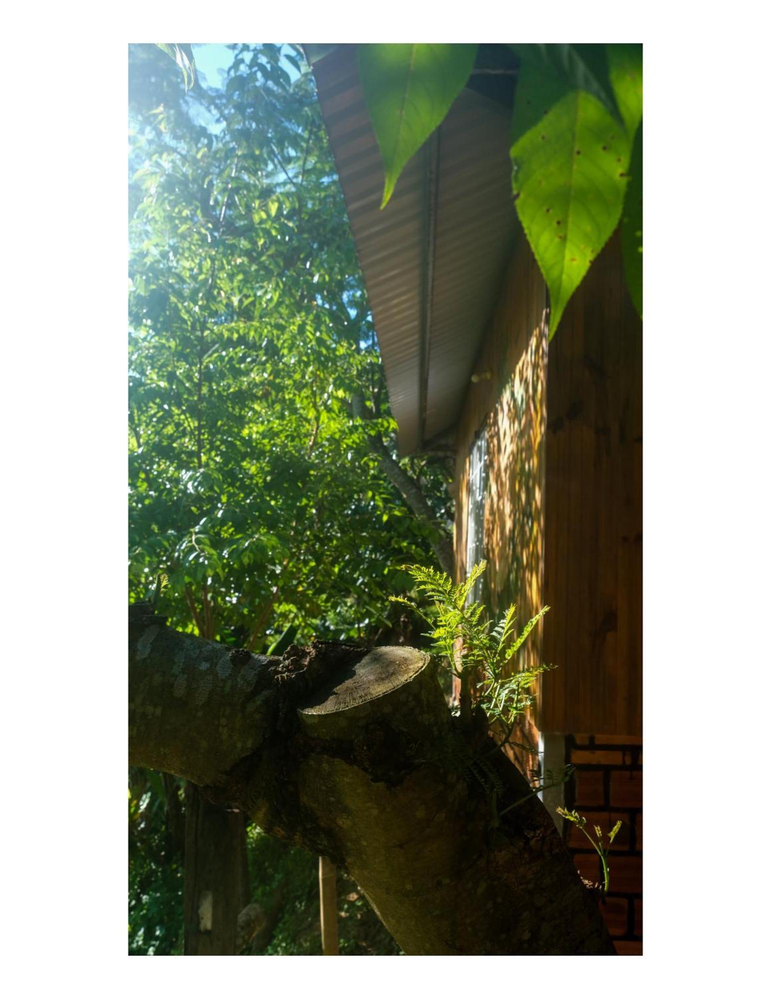 Nha Ben Ho - Da Lat Homestay ภายนอก รูปภาพ
