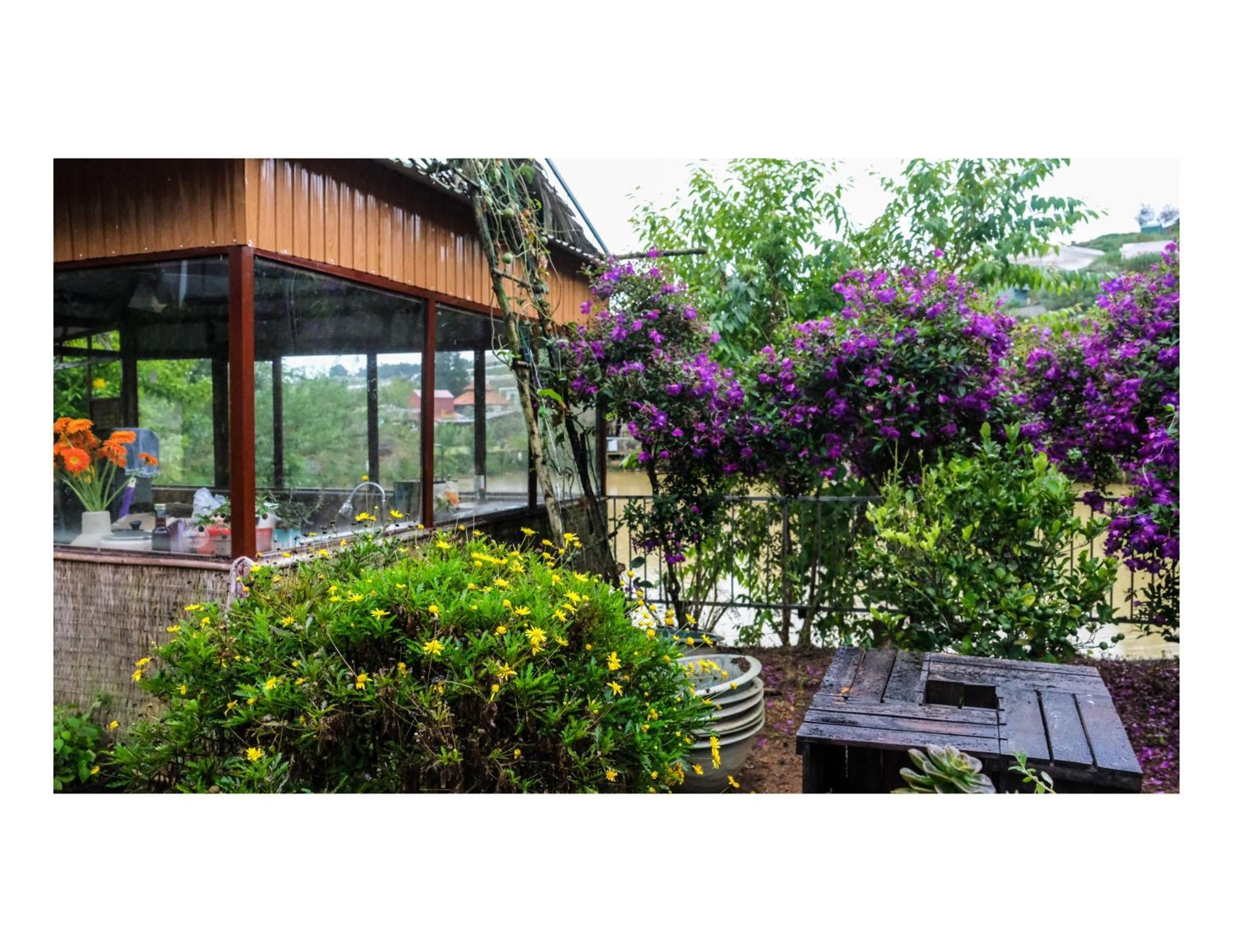 Nha Ben Ho - Da Lat Homestay ภายนอก รูปภาพ