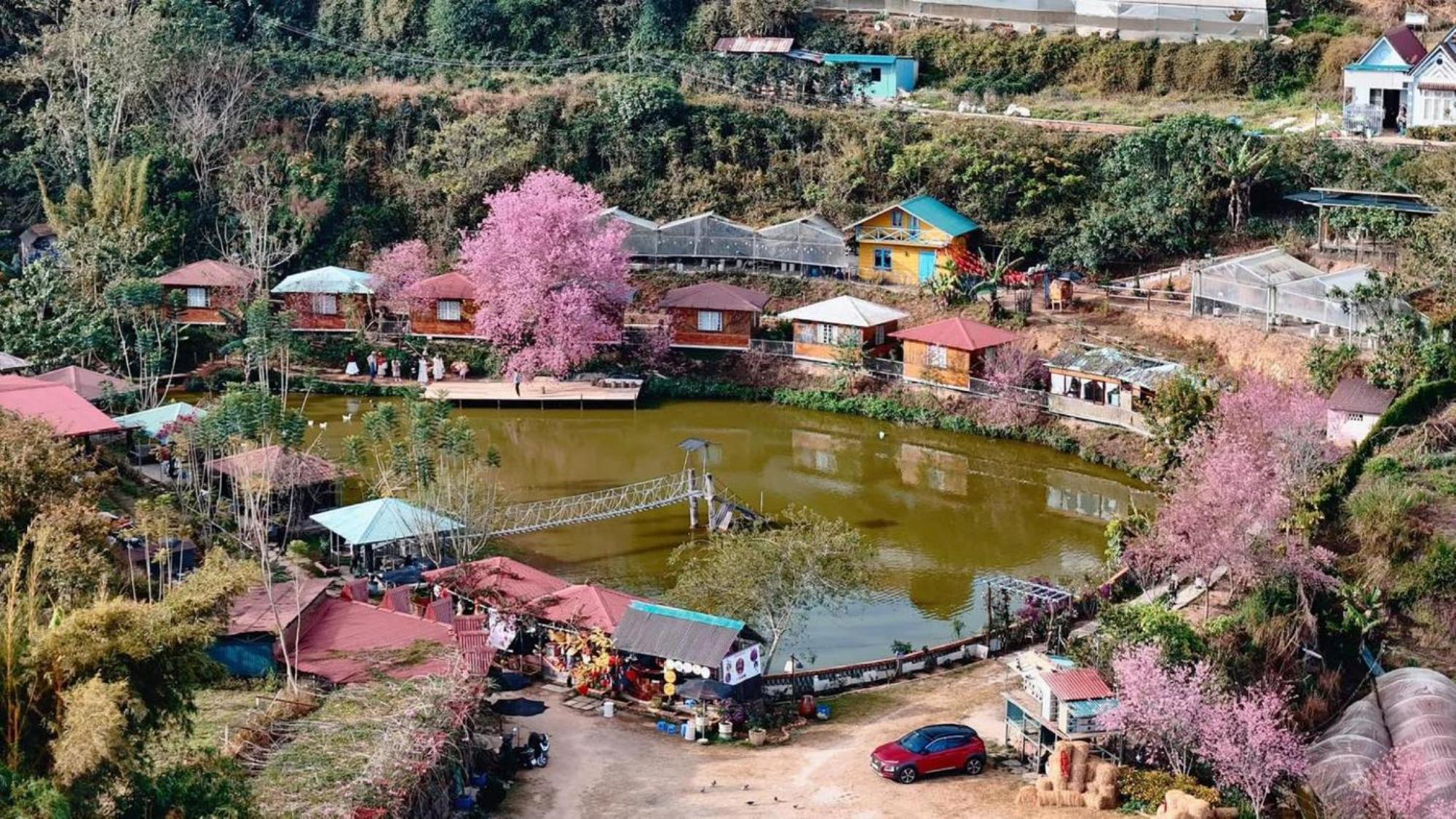 Nha Ben Ho - Da Lat Homestay ภายนอก รูปภาพ