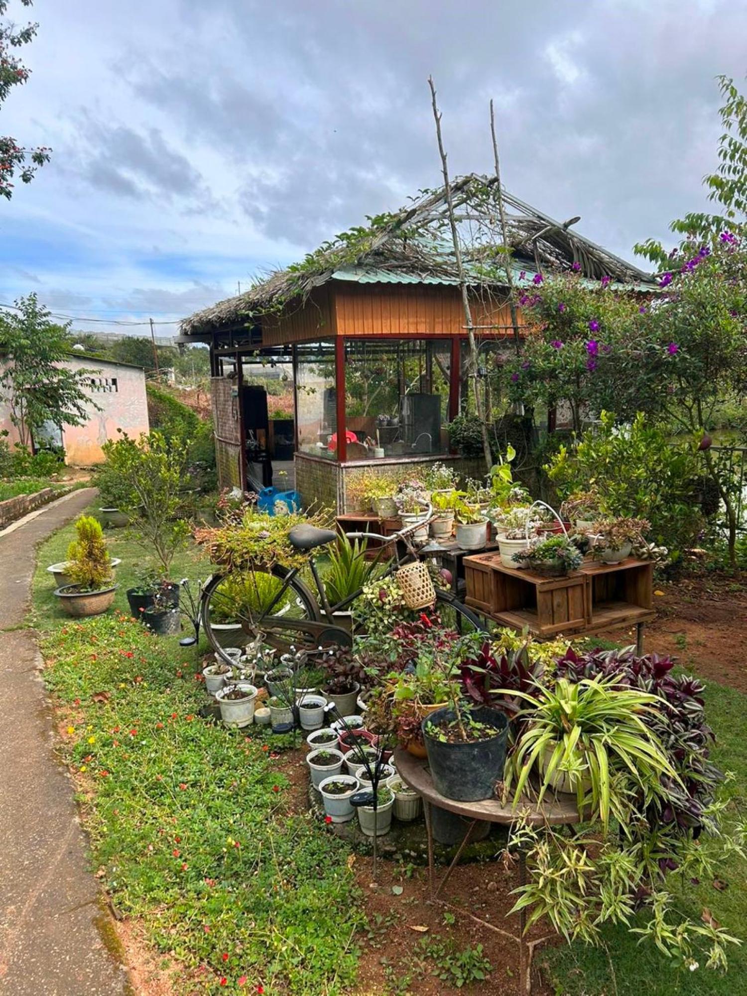 Nha Ben Ho - Da Lat Homestay ภายนอก รูปภาพ