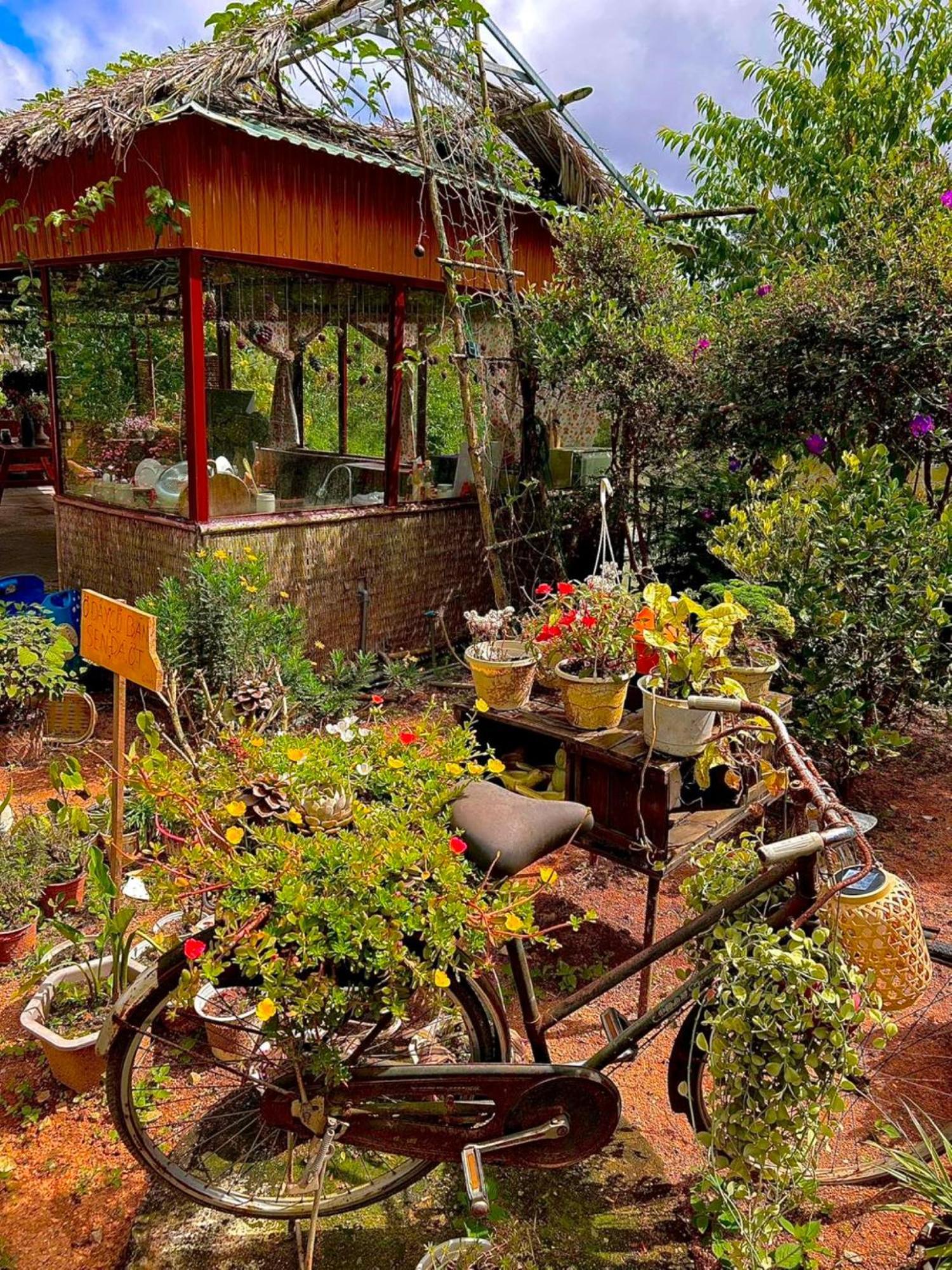 Nha Ben Ho - Da Lat Homestay ภายนอก รูปภาพ