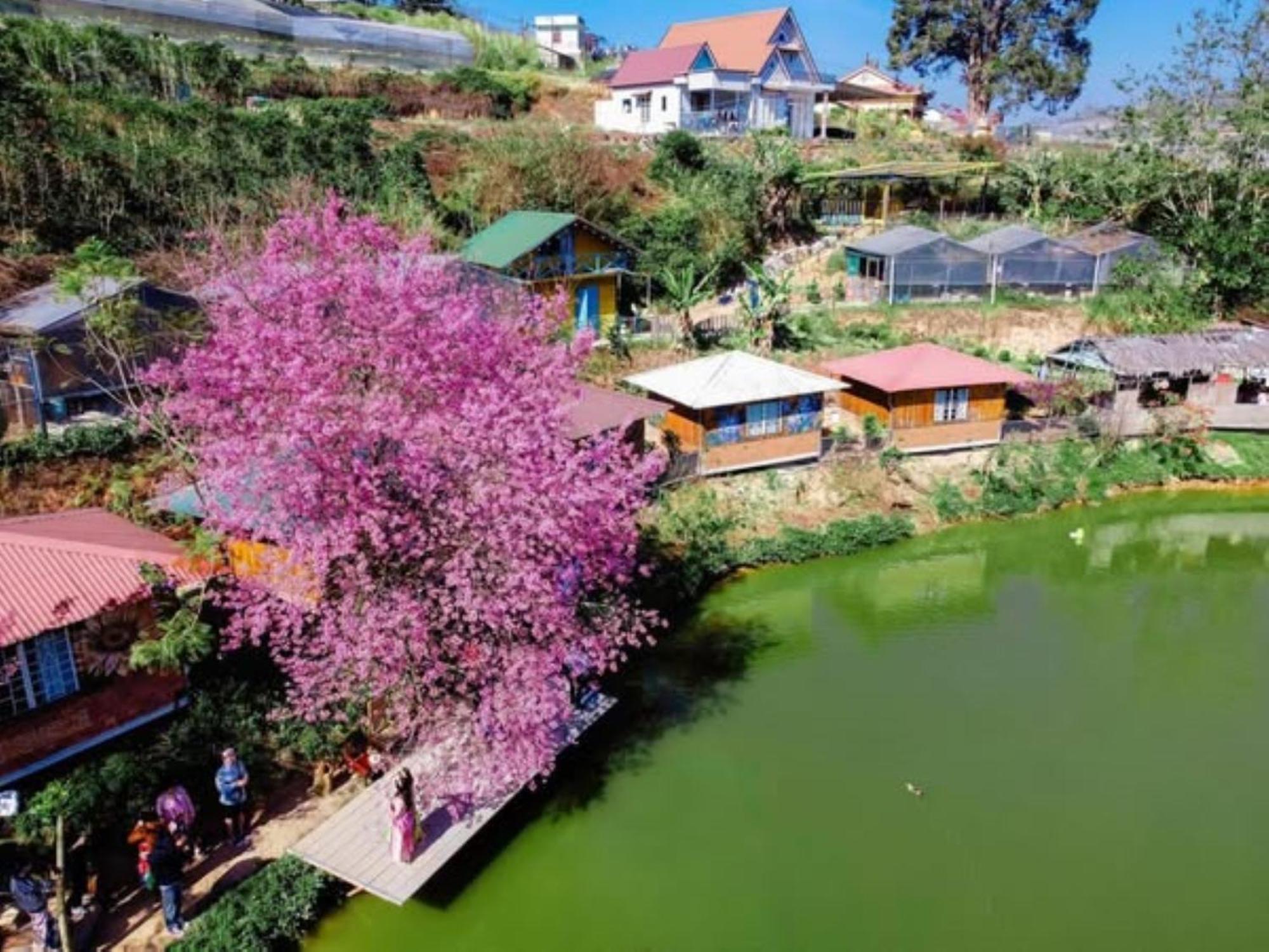 Nha Ben Ho - Da Lat Homestay ภายนอก รูปภาพ