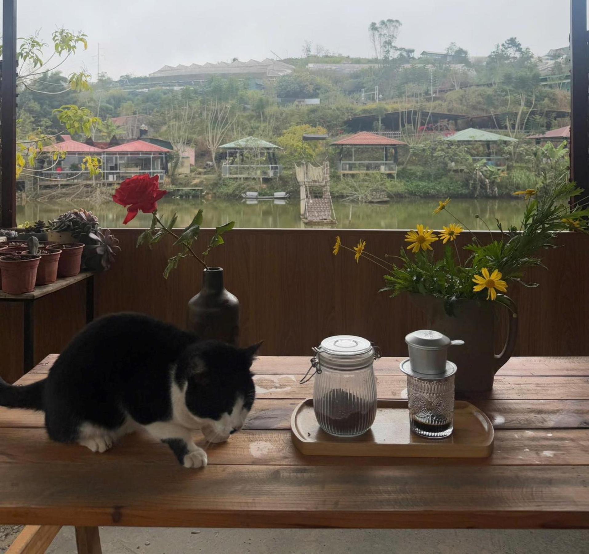 Nha Ben Ho - Da Lat Homestay ภายนอก รูปภาพ