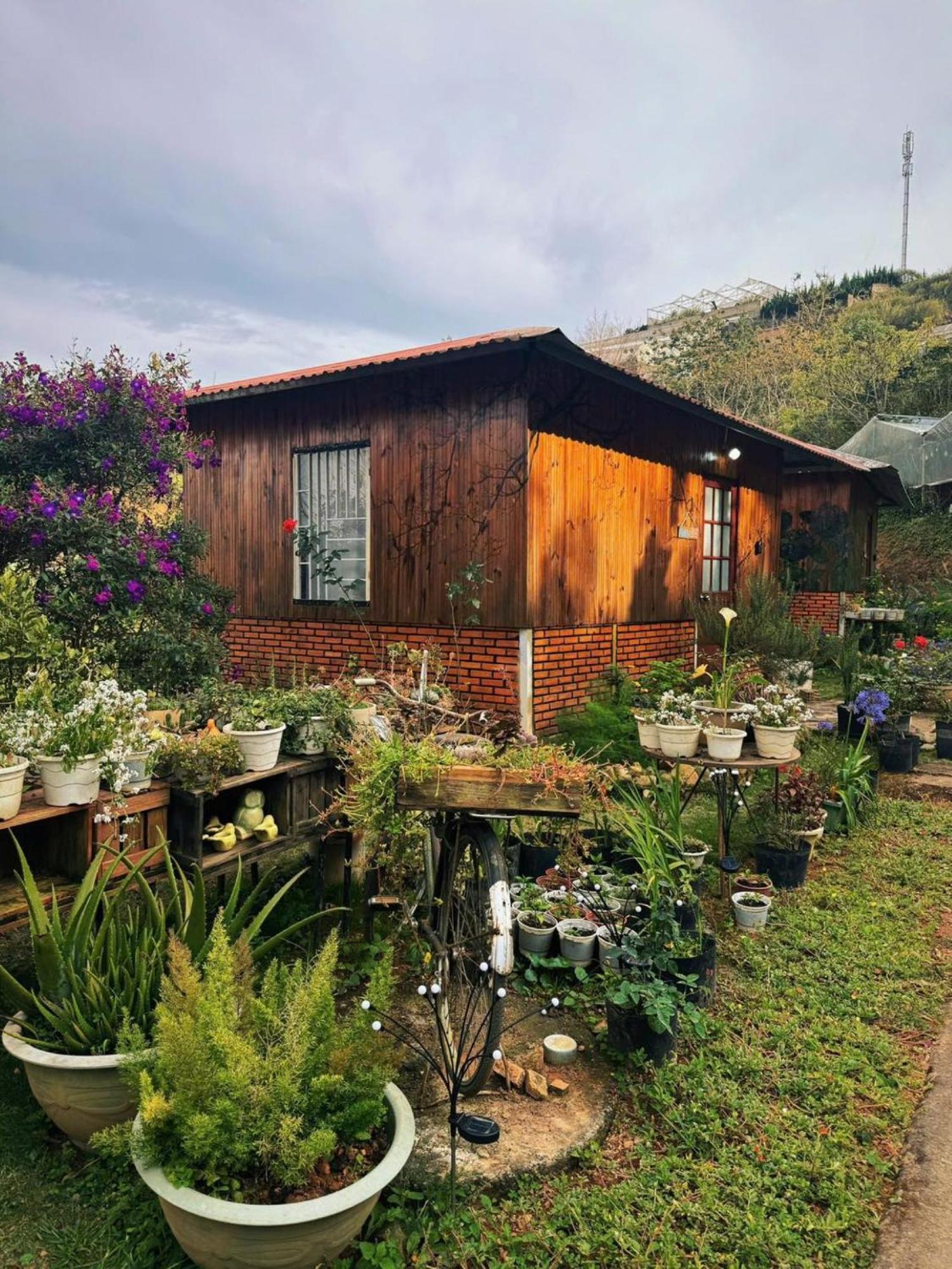 Nha Ben Ho - Da Lat Homestay ภายนอก รูปภาพ