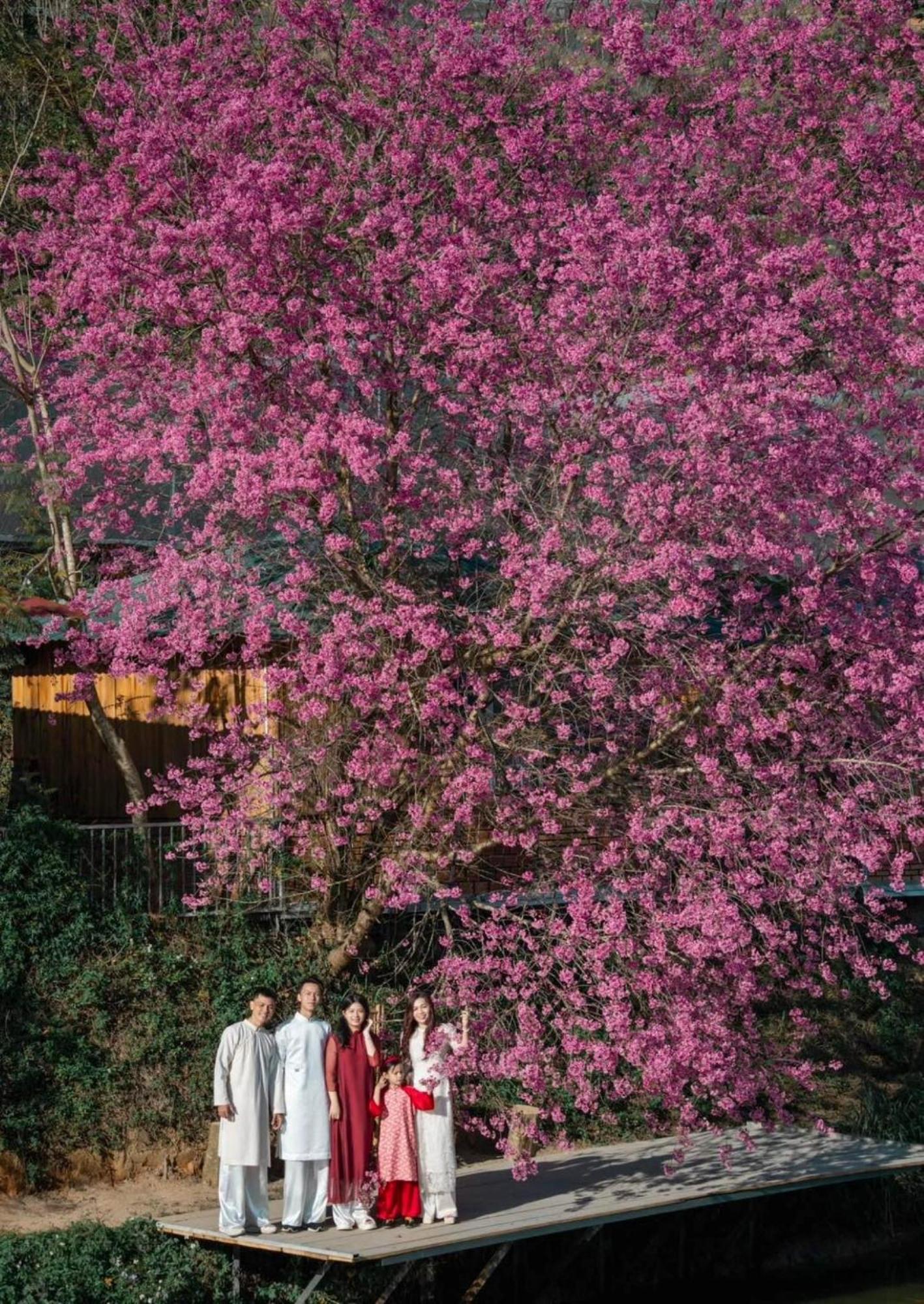 Nha Ben Ho - Da Lat Homestay ภายนอก รูปภาพ