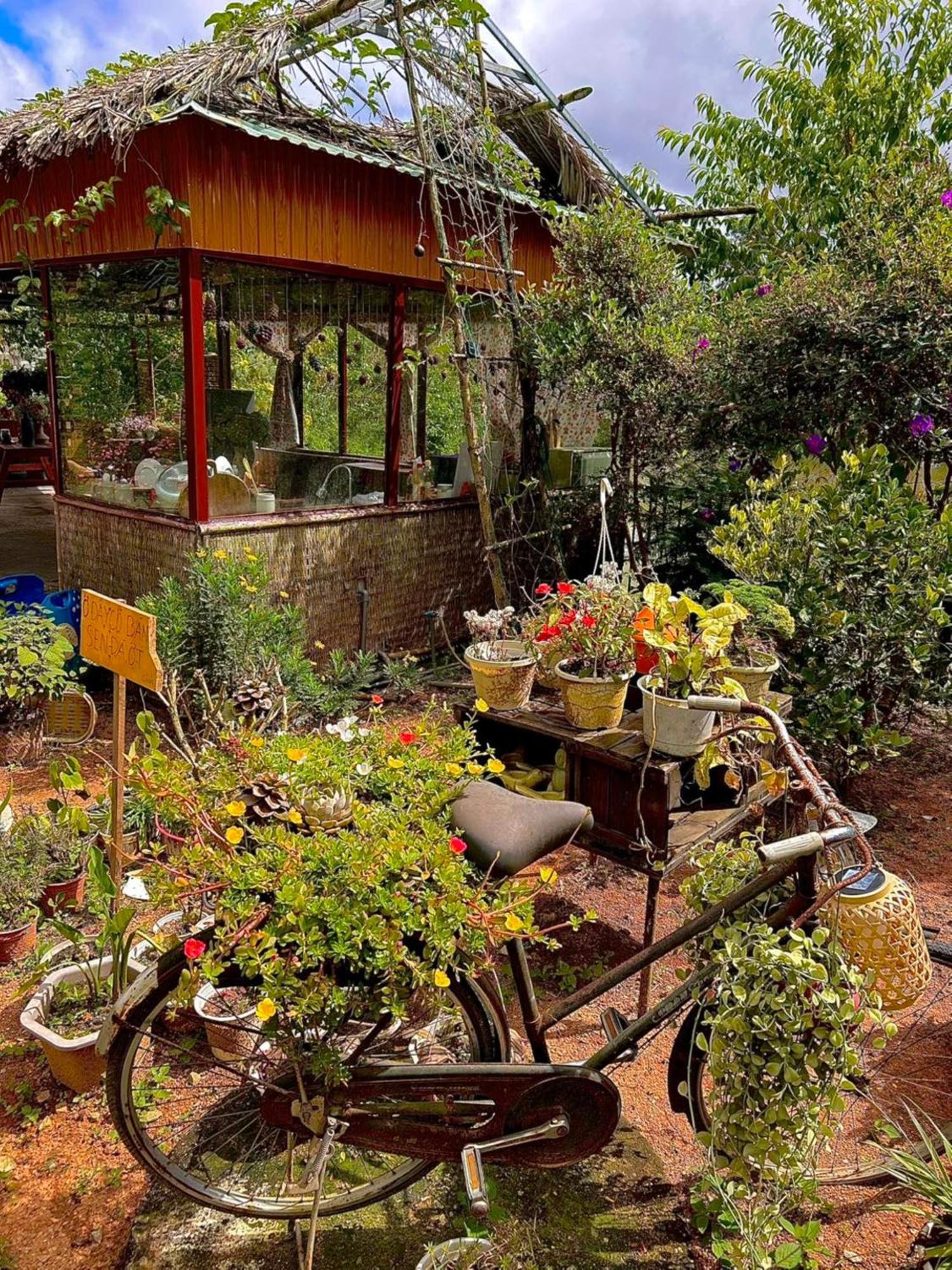 Nha Ben Ho - Da Lat Homestay ภายนอก รูปภาพ